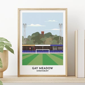 Ilustração contemporânea do Shrewsbury Town FC - Impressão artística do Gay Meadow - Pôster do Shrewsbury - Presente de 50º aniversário para ele