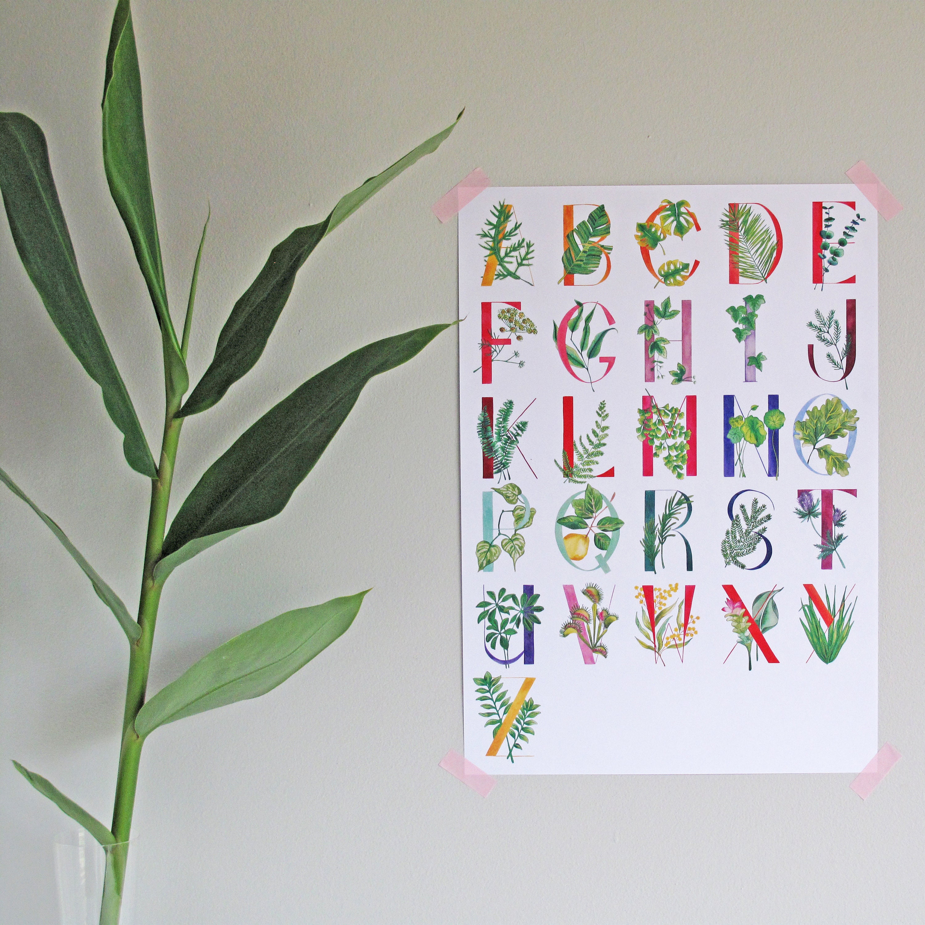 Plant alphabet wall poster Alphabet poster Alphabet print | Etsy