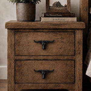 Può includere: Un comodino in legno marrone con due cassetti, ciascuno dotato di una maniglia in metallo nero a forma di testa di toro longhorn. Sopra si trovano un vaso grigio scuro con una pianta verde, una cornice in legno e due libri con i titoli visibili.