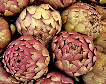 Venice Italy Wall Art Artichokes Fine Art Vegetable Print