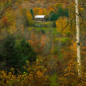 Autumn Blaze Comfort Colors  First Day Fall Photo Print