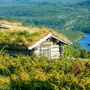Norwegian Wood Farmhouse Grass Roof Scandinavian Poster Photo Print
