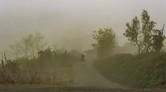 Tuscany Lost in Translation Foggy Misty Landscape