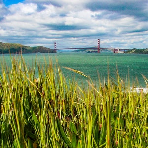 Golden Gate Bridge San Francisco Bay Coastal Wall Art Decor Photo Print