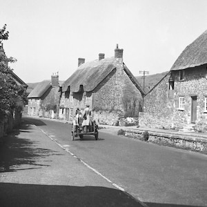 Abbotsbury Dorset milk cart   early 1900s  050  real photo
