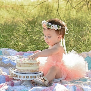Peach Girls Tutu, Toddler Girls Birthday Tutu, Blush Peach Infant Baby First Birthday Smash Cake Photo Shoot Outfit, Fluffy Ballet Tutu