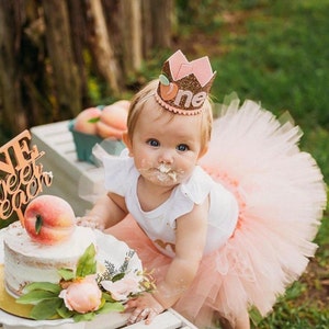 Peach Girls Tutu, Toddler Girls Birthday Tutu, Blush Peach Infant Baby First Birthday Smash Cake Photo Shoot Outfit, Fluffy Ballet Tutu