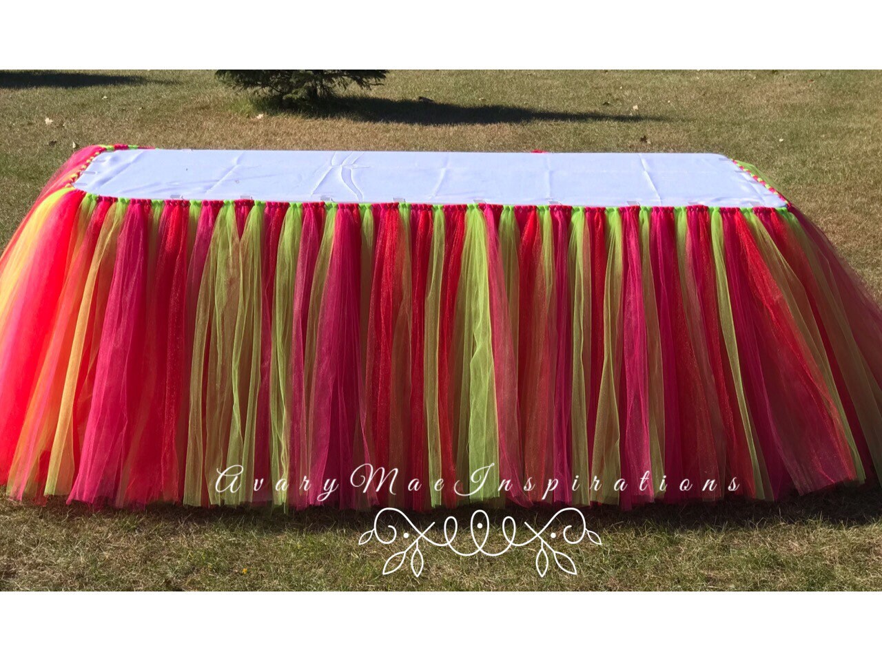 Tulle Table Skirt Tutu Table Skirt Strawberry Party First Etsy