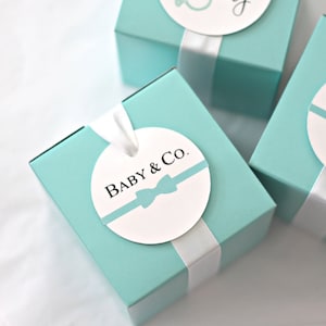 Baby and Co Favor Boxes, Tags & Ribbon Kits - Robin&#39;s Egg Blue