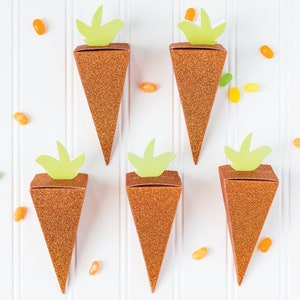 Carrot Locally Grown Treat Boxes | Set of 10 | Fresh Off the Market