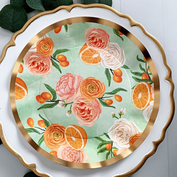 Clementine Dinner Plates - Roses on Mint