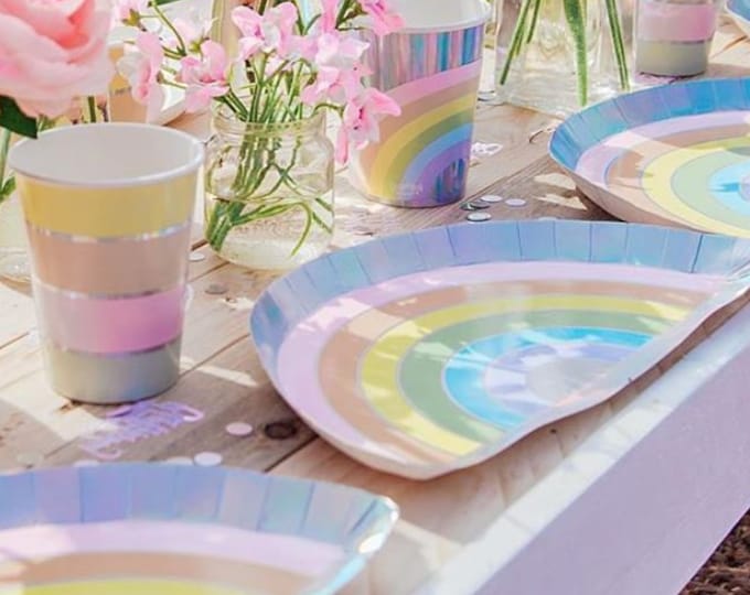 Rainbow Party Plates Etsy