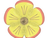 Il_170x135
