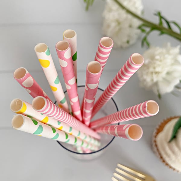 Pastel Paper Straw Etsy
