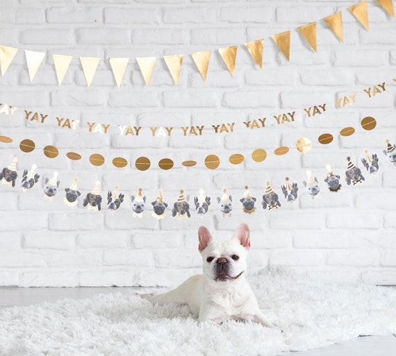 Dog Happy Birthday Banner Il_570xn