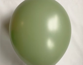 Set of 5 Eucalyptus Colored Balloons