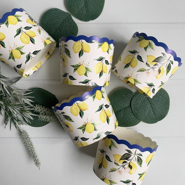 Lemon & Blue Baking Cups