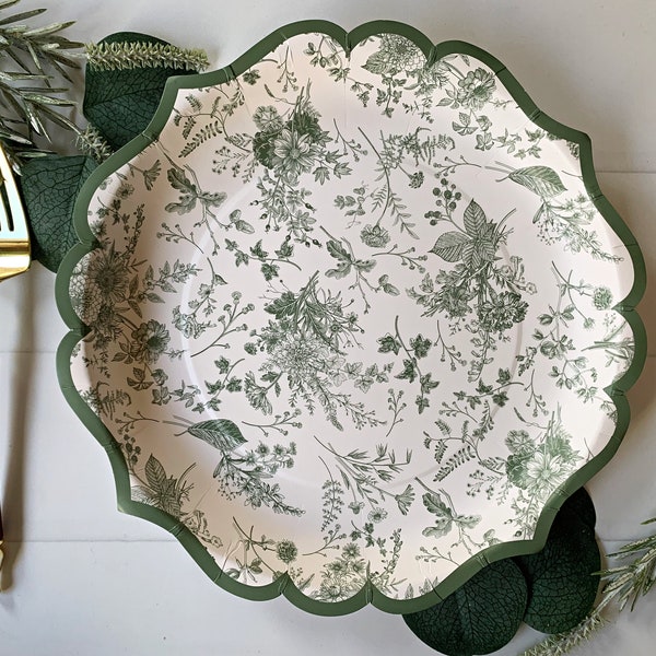 Sage Toile Floral Dinner Plates