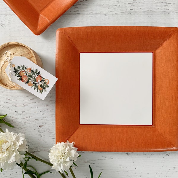 Orange Dinner Plates Square