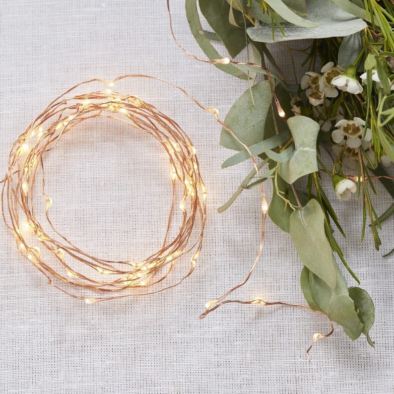 String Lights - 60 LED Battery Operated Fairy Lights on Copper Wire 