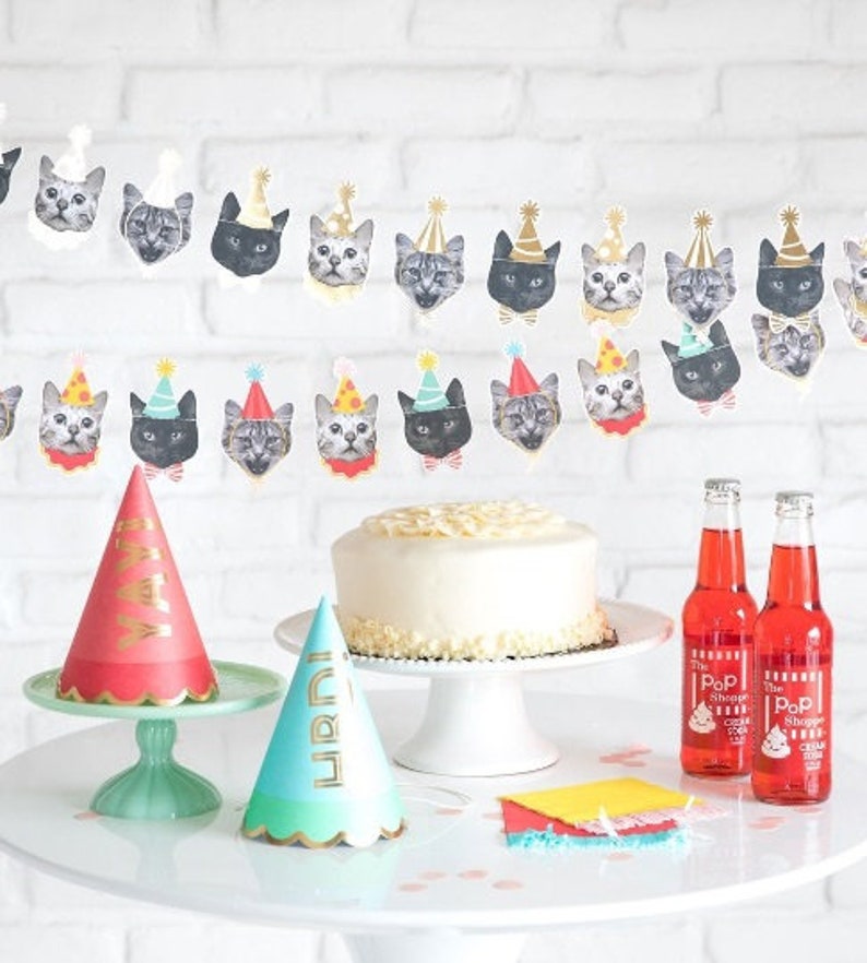 Final Fiesta Striped Dinner Napkins
