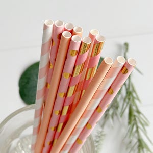 Peach, Blush Pink and Gold Straws | Set of 12 Drink Straws