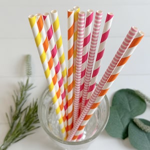 Citrus Paper Straws - Orange & Hot Pink - Set of 12