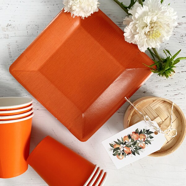Burnt Orange Plates Etsy