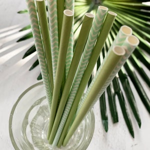 Sage Green & Dusty Blue Confetti - Perfect for Oh Boy Baby Shower, Bridal Showers and Weddings bild 5