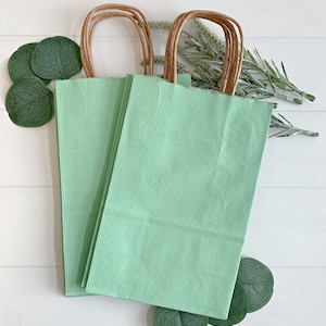 May include: Two mint green paper gift bags with vertical ribbed texture and brown twisted paper handles. The bags are arranged on a white surface with green leaf and sprig accents.