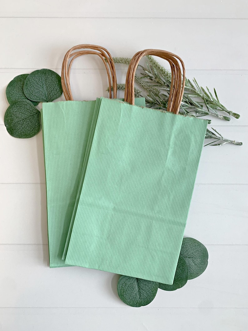 May include: Two mint green paper gift bags with vertical ribbed texture and brown twisted paper handles. The bags are arranged on a white surface with green leaf and sprig accents.