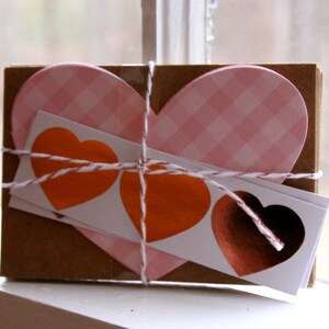 Handmade DIY Valentine cards or lunchbox notes - cute little gingham hearts and kraft envelopes.