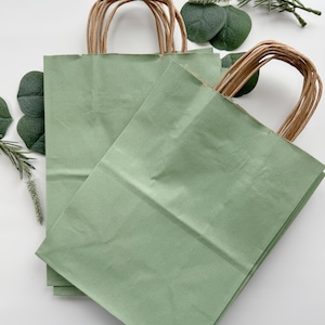 May include: Two sage green paper gift bags with brown twisted paper handles. The bags are ribbed and have a rectangular shape. Green leaves and sprigs of greenery are arranged around the bags on a white surface.