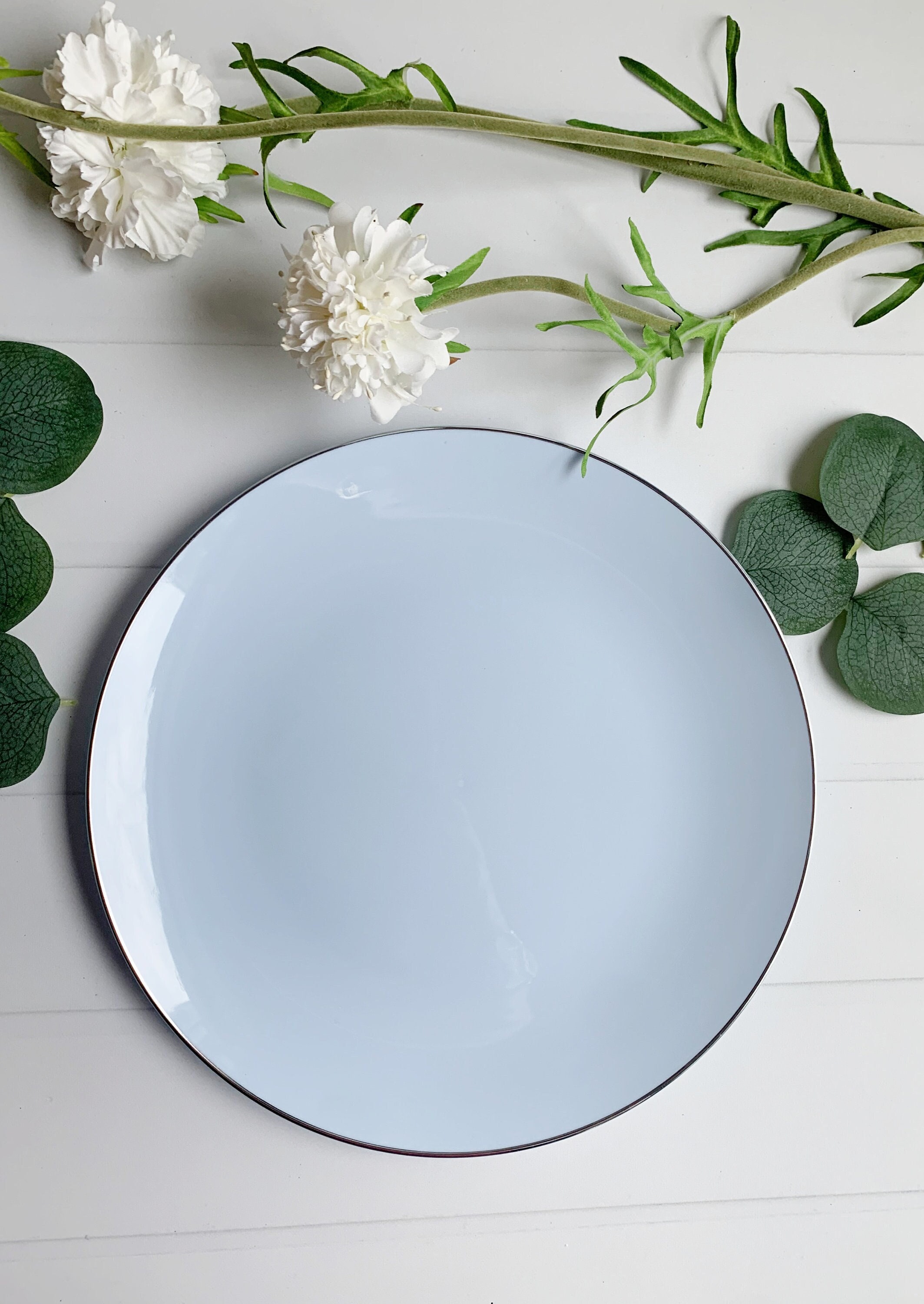 Blue and White Plastic Plates