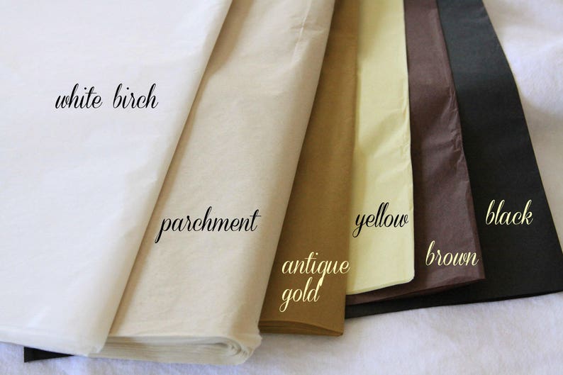 Graduation Confetti Poppers Favors Confetti Push Pops Etsy