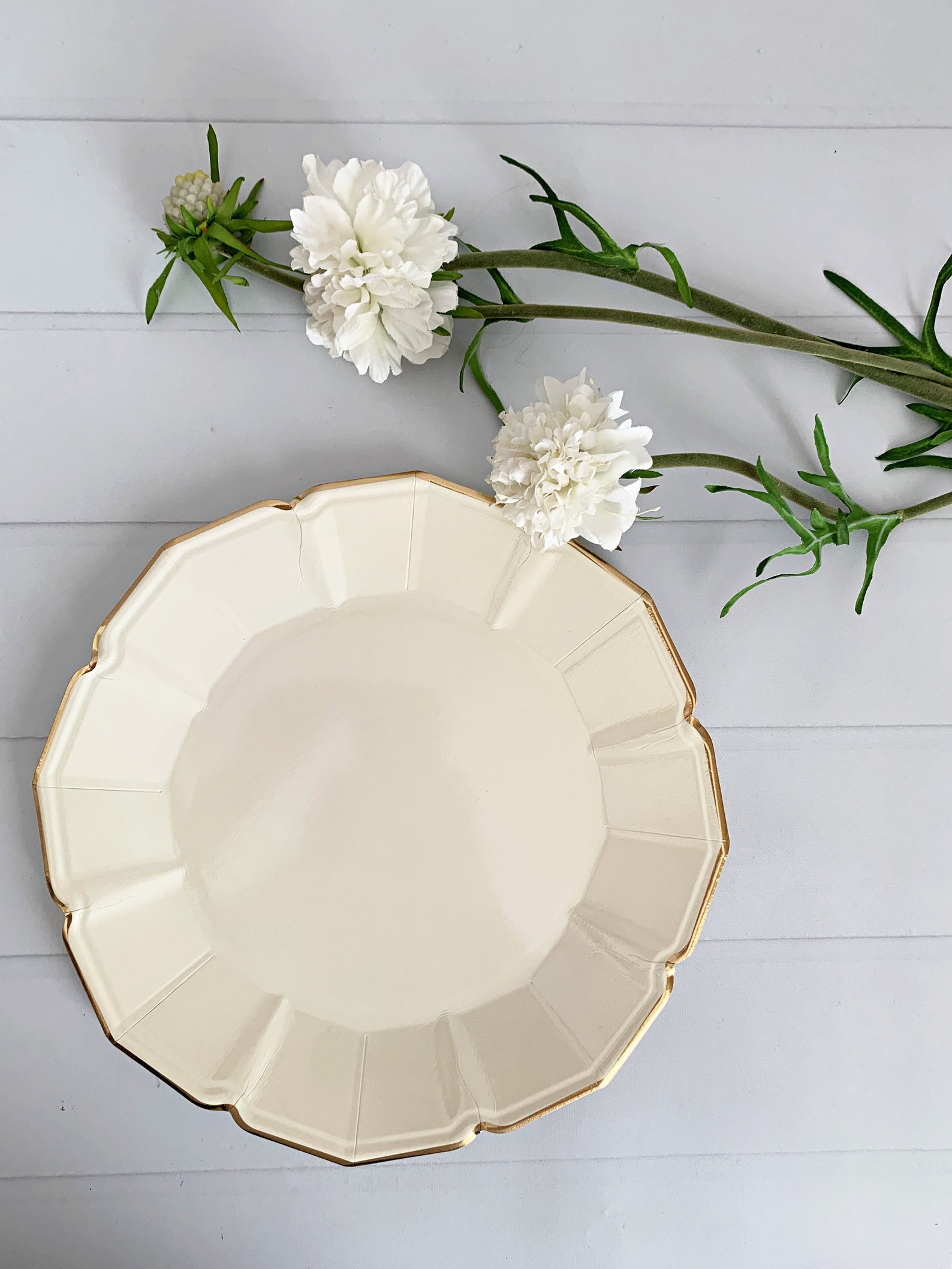 Cream Scalloped Dinner Plates Etsy
