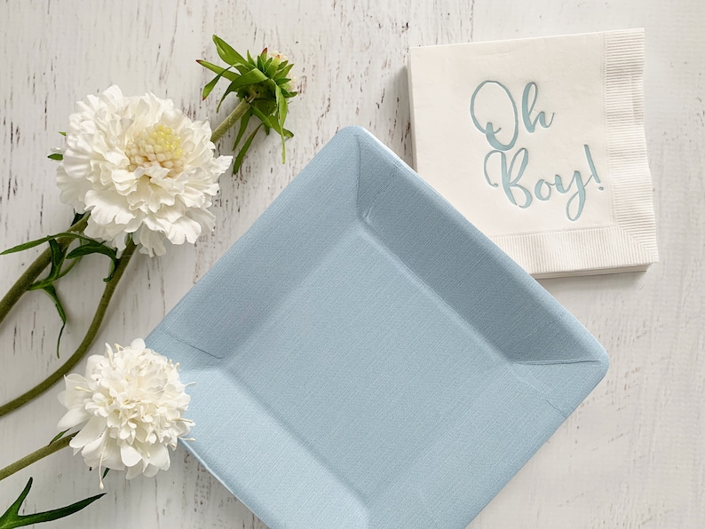 Baby Blue Dessert Plates Etsy