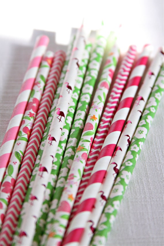 Tropical Pink & Green Straws Il_570xn