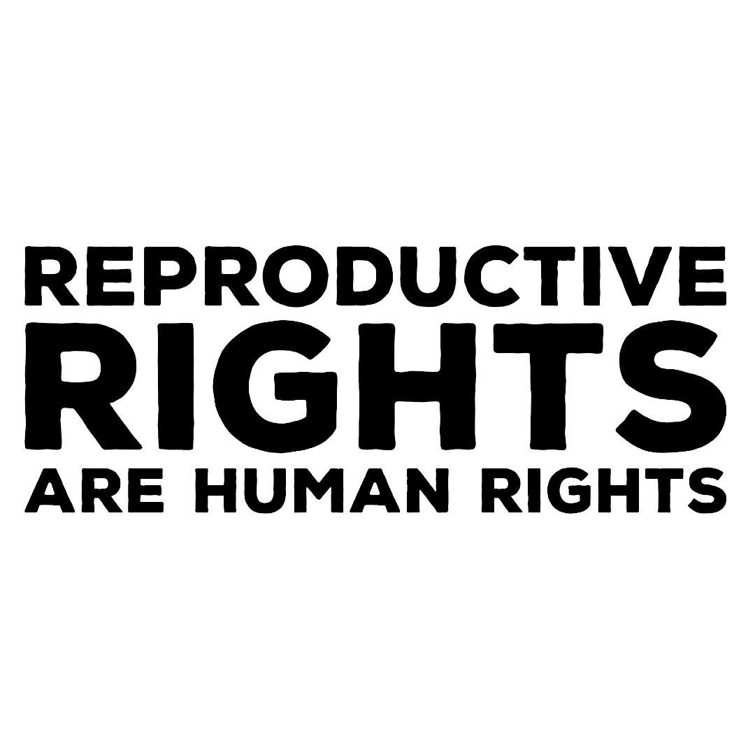 Reproductive Rights Are Human Rights EPS SVG PNG - Etsy