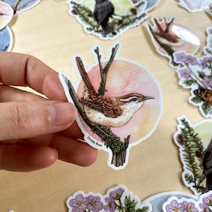 Sticker - Carolina Wren