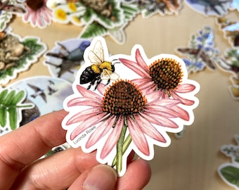 Vinyl Sticker - Bumble Bee with Purple Coneflower