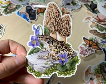 May include: A sticker featuring a watercolor illustration of a frog sitting on a rock with two morel mushrooms and purple flowers. The sticker has the text "Lucido Rosso" at the bottom.