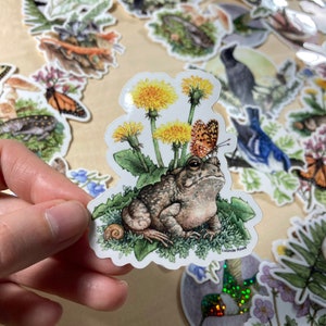 Sticker - Fowler&#39;s Toad with Dandelions and Butterfly