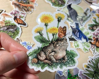 May include: A sticker featuring a toad sitting on a bed of green leaves with a snail and a butterfly. The toad is brown with black spots. The butterfly is orange and black. The background is white with yellow dandelions.