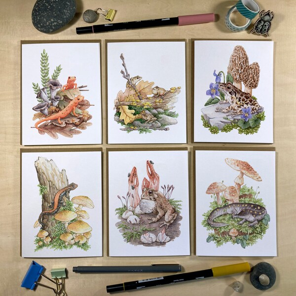 Note Card Set - 6 Amphibians & Fungi on Blank Recycled Cards