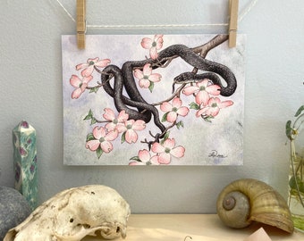 Dogwood Snake Giclee Archival Print