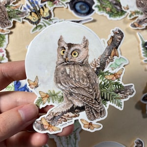 Sticker - Käuzchen mit Motten