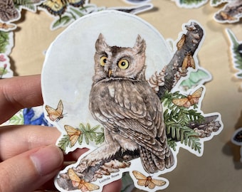 May include: A watercolor illustration of an owl perched on a branch with leaves and small butterflies. The owl is brown and gray with yellow eyes. The background is a light blue watercolor wash. The artist's name, Lucinda Rowe, is printed in the bottom right corner.