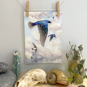Tree Swallows Flying High Giclee Archival Print
