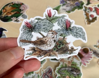 May include: A sticker featuring a detailed illustration of a small bird perched among plants with red flowers and large green leaves. The sticker has a white border and the artist's signature, "Lucinda Rowe," is visible.